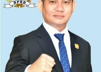 PAD Lingga Dari Sektor Tambang di Prediksi Terjun Bebas 2022