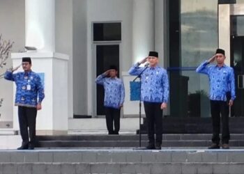 KEK Solusi Pegawai Honorer