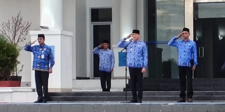 KEK Solusi Pegawai Honorer