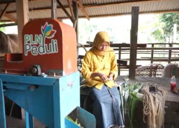PLN