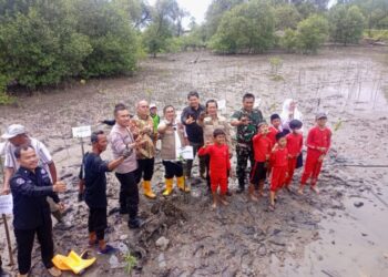 Poldasu Hadiri Kegiatan Penanaman Bakau di Hari World Environment Day
