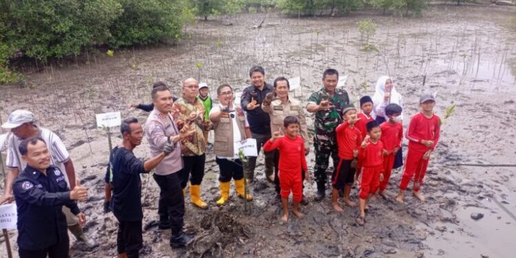 Poldasu Hadiri Kegiatan Penanaman Bakau di Hari World Environment Day