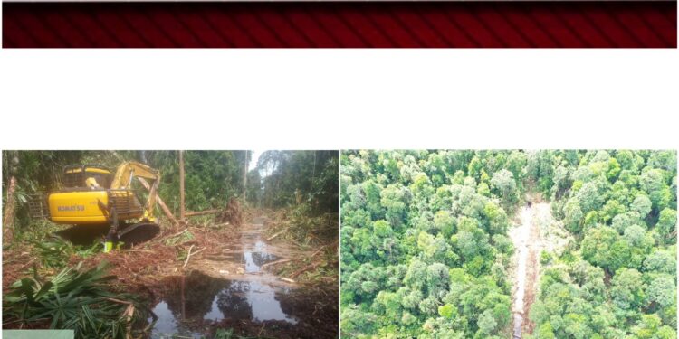 Satreskrim Polres Rokan Hilir Amankan Tersangka Perusakan Hutan di Areal PT Diamon Raya Timber