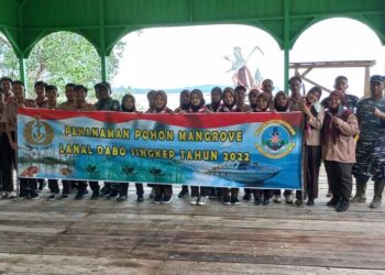 Penaman Bibit Mangrove