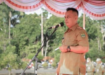 Pemda Lingga Berencana Usulkan Tenaga Outsourcing 2023