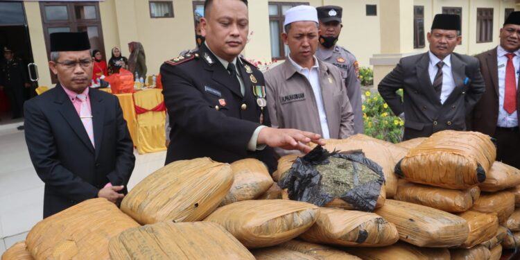 Polres Padang Lawas Amankan 80 Bal Ganja Kering Tak Bertuan Di Sosopan
