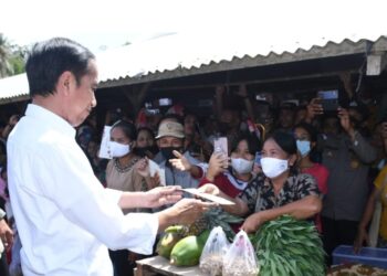 Presiden Joko Widodo Kunjungi Pasar Alasa Nias