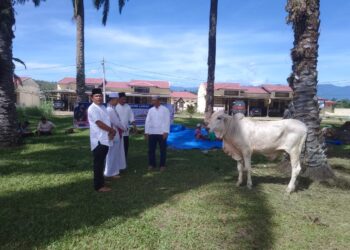 Alhamdulillah, Polres dan Bhayangkari Cabang Palas Bagikan 250 Paket Daging Kurban