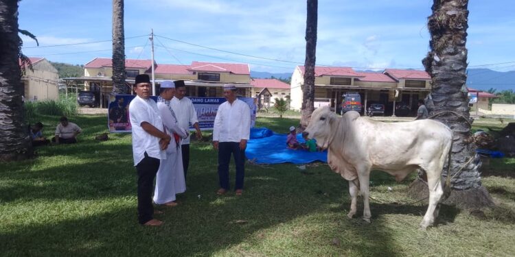 Alhamdulillah, Polres dan Bhayangkari Cabang Palas Bagikan 250 Paket Daging Kurban