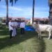 Alhamdulillah, Polres dan Bhayangkari Cabang Palas Bagikan 250 Paket Daging Kurban