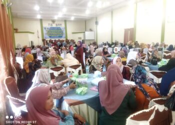 Tekan Stunting di Palas, DP2KBP3A Orientasi Kader TPK Verifikasi dan Validasi Data KRS