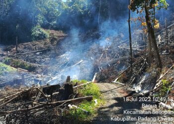 Terdeteksi Lancang Kuning, Jajaran Polres Palas Cek Titik Api di Padang Biru Banua Tonga Sosopan