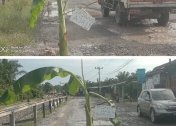 Tulisan “Pisang Hasil Korupsi” Di Jalan Lintas Sigura-gura