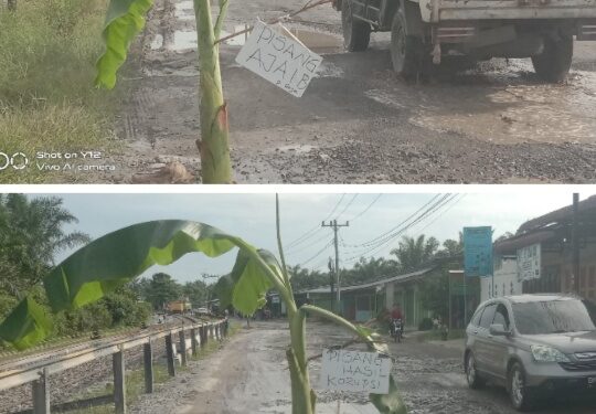 Tulisan “Pisang Hasil Korupsi” Di Jalan Lintas Sigura-gura