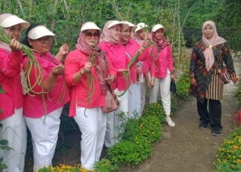 Meriahkan HUT RI Ke- 77, PTPN IV Pulu Raja Gelar Lomba Kebersihan