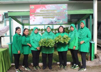 Manfaatkan Lahan Kosong, Persit Kartika Chandra Kirana Cabang XXLII Dim 0318/Natuna Panen Sawi