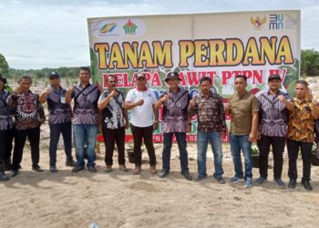 Manager Unit PTPN IV Pulu Raja Tanam Perdana Kelapa Sawit Di Areal AFD V