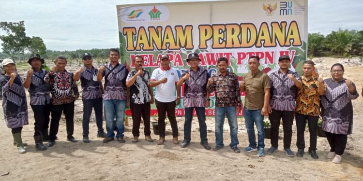Manager Unit PTPN IV Pulu Raja Tanam Perdana Kelapa Sawit Di Areal AFD V