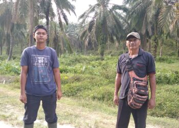 2 Security Kebun PT.PP Gunung Melayu Jadi Korban Penganiayaan Oleh Pelaku Pencuri Sawit
