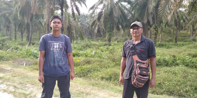 2 Security Kebun PT.PP Gunung Melayu Jadi Korban Penganiayaan Oleh Pelaku Pencuri Sawit