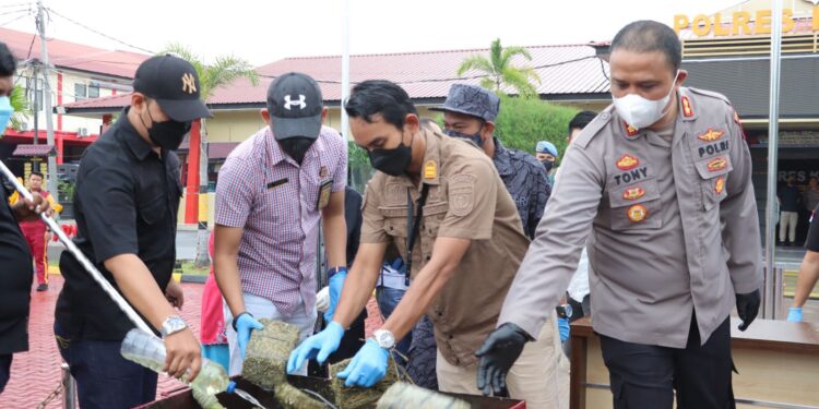 Polres Karimun Lakukan Pemusnahan BB Ganja Kering Seberat 30.412 gram