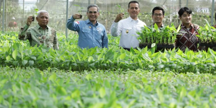 Wamentan RI dan Wagubsu Kunker ke Kabupaten Asahan