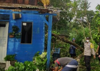 TNI-Polri Respon Cepat Bantu Rumah warga Tertimpa Pohon di Natuna