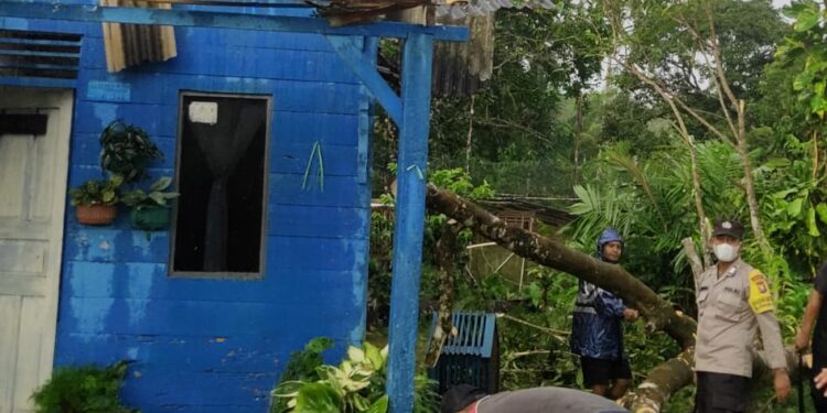 TNI-Polri Respon Cepat Bantu Rumah warga Tertimpa Pohon di Natuna