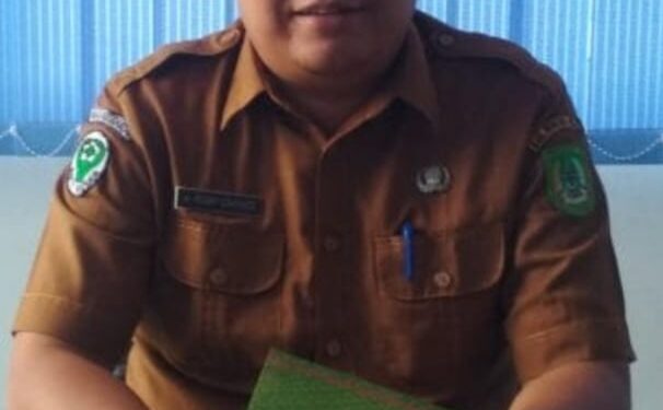 Anjelin Layanan Kesehatan Puskesmas Bagansiapiapi