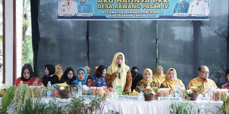 Tim Evaluasi PKK Sumut Kunjungi Desa Rawang Pasar VI