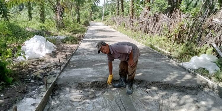 Juli Hernani Semenisasi Jalan Dusun I Desa Padang Mahondang