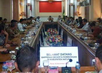 Kementerian PPN