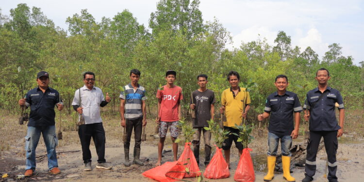 Komitmen Tekan Abrasi, PT Timah Bersama Masyarakat  Lakukan Penyulaman Mangrove