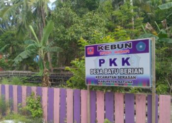 Telan Anggaran RP 53 Juta, Program Ketahanan Pangan di Desa Batu Berian Natuna Tak Kunjung Terealisasi