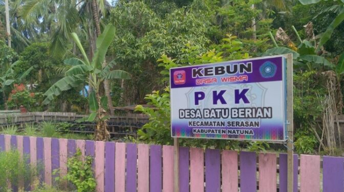 Telan Anggaran RP 53 Juta, Program Ketahanan Pangan di Desa Batu Berian Natuna Tak Kunjung Terealisasi