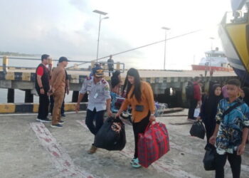 Pemudik