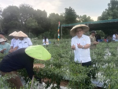 Panen Perdana