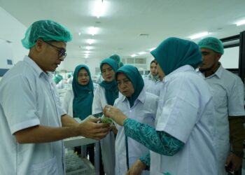 Pj Ketua TP-PKK Provsu Bersama Ketua TP PKK Asahan Kunjungi PT. Hijau Surya Biotechindo