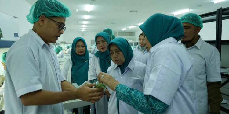 Pj Ketua TP-PKK Provsu Bersama Ketua TP PKK Asahan Kunjungi PT. Hijau Surya Biotechindo