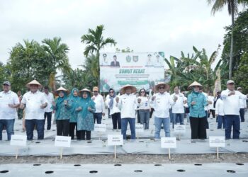 Bupati Asahan Dampingi Pj Gubernur Sumut Tanam Cabai di Desa Serdang
