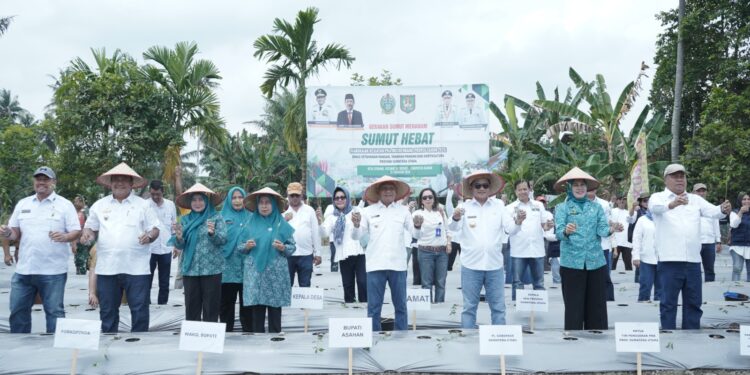 Bupati Asahan Dampingi Pj Gubernur Sumut Tanam Cabai di Desa Serdang