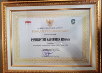 Kabupaten Lingga Raih Penghargaan Pembangunan Daerah Tingkat Provinsi Kepri Tahun 2024