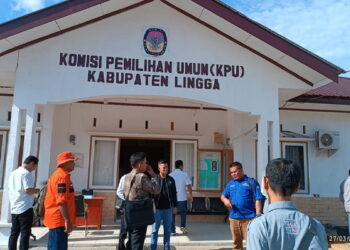 Lima Partai Politik Buat Laporan di Kantor KPU Lingga