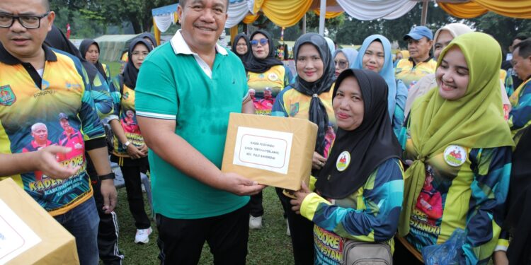 Wakil Bupati Asahan Tutup Jambore Posyandu ke 11