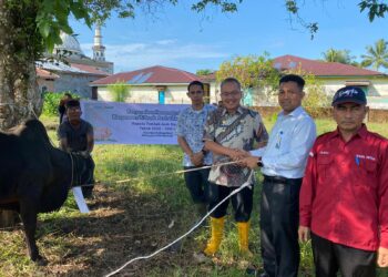 Hari Raya Idul Adha 2024, Pj Bupati Sebut Ada 500 Ekor Hewan Qurban di 11 Kecamatan