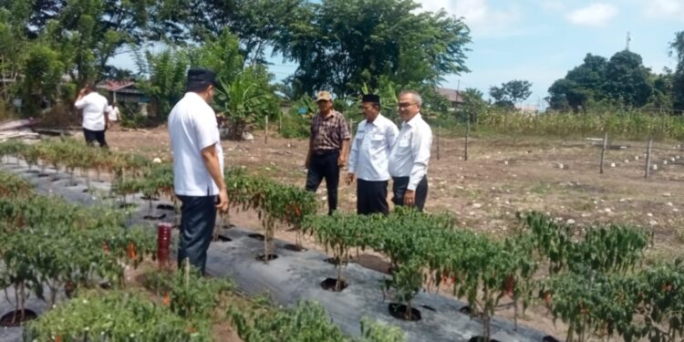 Pj Bupati Azmi Ingatkan Pentingnya Ketahanan Pangan Desa