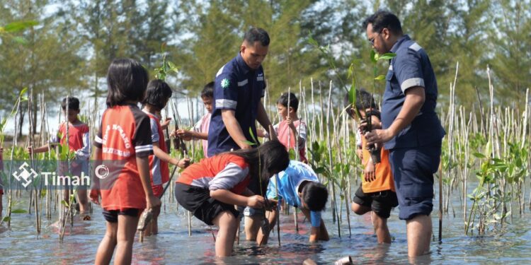 Konsisten Dalam Pelestarian Lingkungan, Ini yang Dilakukan PT Timah