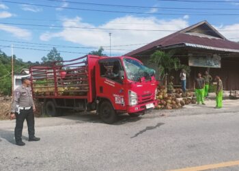 Slip dan Lepas Kendali, Truk Pengangkut Elpiji Bersubsidi Terbalik di Karimun