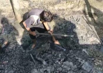 DKP Karimun dan Nelayan Kubur Bangkai Ikan Pari Manta di Pantai Pak Imam