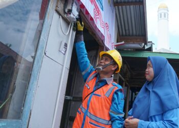 PLN